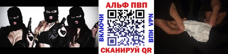 Альфа ПВП СК КРИС  Ивангород 
