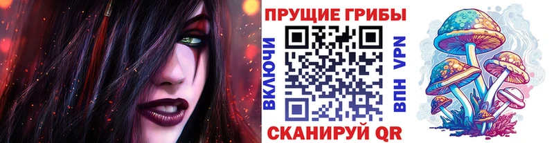 где найти наркотики  Ивангород  Галлюциногенные грибы Psilocybine cubensis 